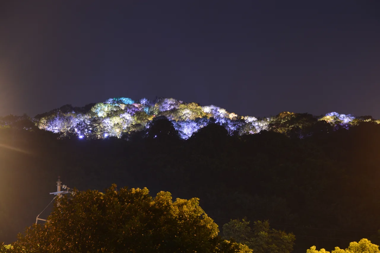 长沙风光实景