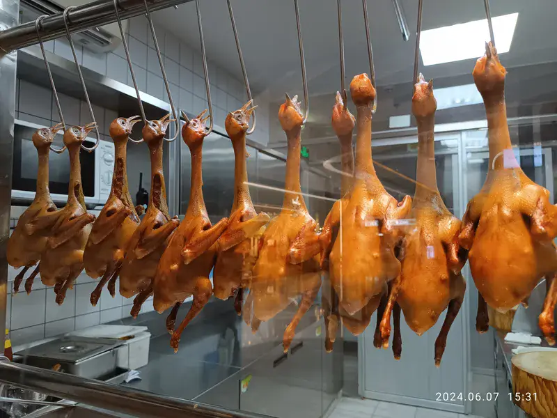 鸽子汤