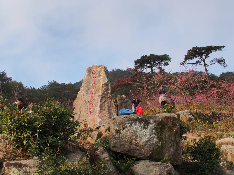岩茶