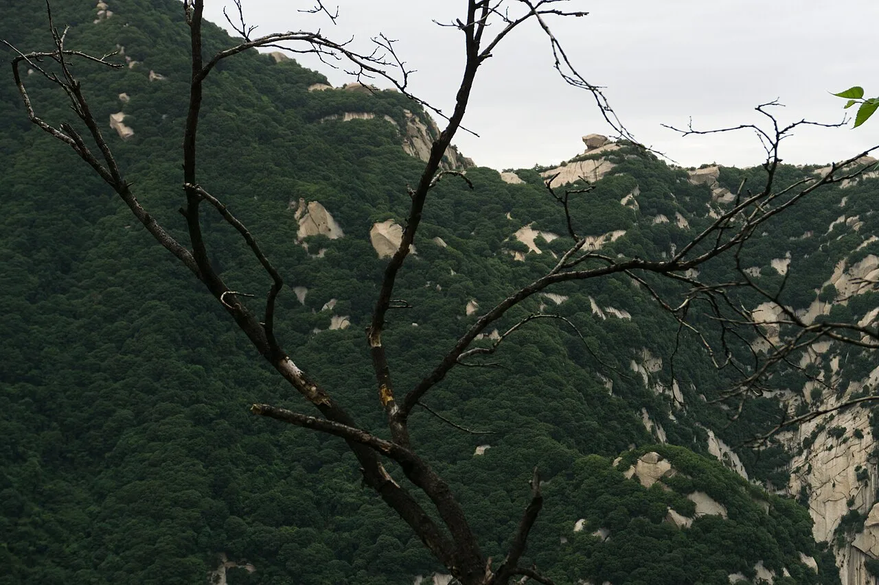 华山